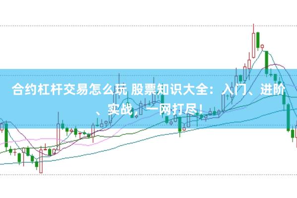 合约杠杆交易怎么玩 股票知识大全：入门、进阶、实战，一网打尽！