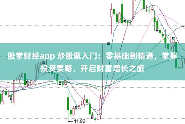 股掌财经app 炒股票入门：零基础到精通，掌握投资要略，开启财富增长之旅