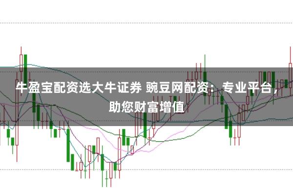 牛盈宝配资选大牛证券 豌豆网配资：专业平台，助您财富增值