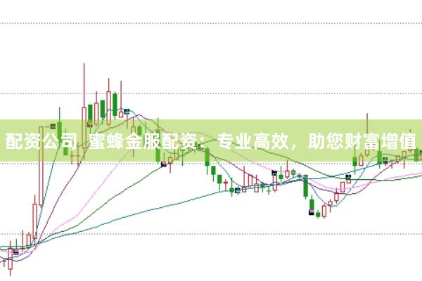 配资公司  蜜蜂金服配资：专业高效，助您财富增值