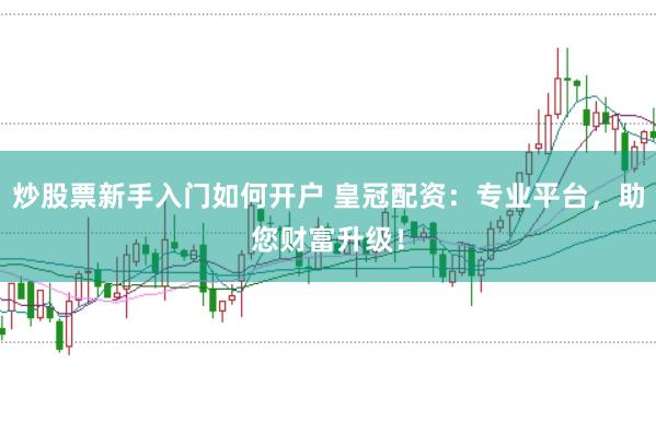 炒股票新手入门如何开户 皇冠配资：专业平台，助您财富升级！