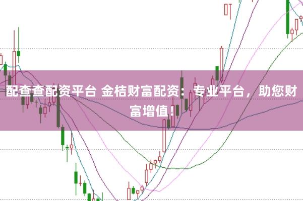 配查查配资平台 金桔财富配资:专业平台,助您财富增值!