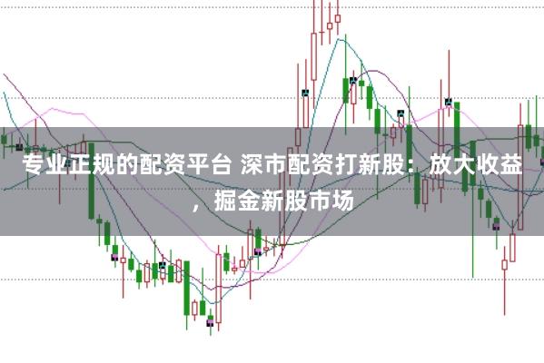 专业正规的配资平台 深市配资打新股：放大收益，掘金新股市场