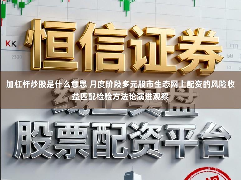加杠杆炒股是什么意思 月度阶段多元股市生态网上配资的风险收益匹配检验方法论演进观察