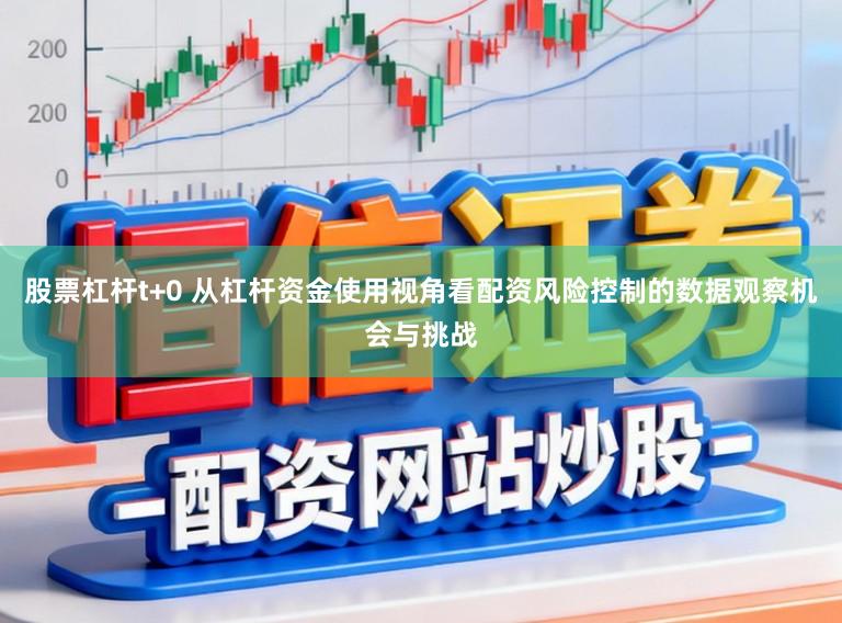 股票杠杆t+0 从杠杆资金使用视角看配资风险控制的数据观察机会与挑战
